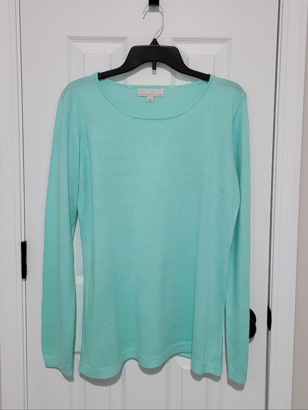 Carolyn Taylor Mint Green Crewneck Sweater (Sz L)